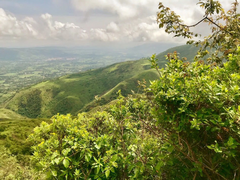 On aperçoit la Vallée du Rift depuis une colline verdoyante